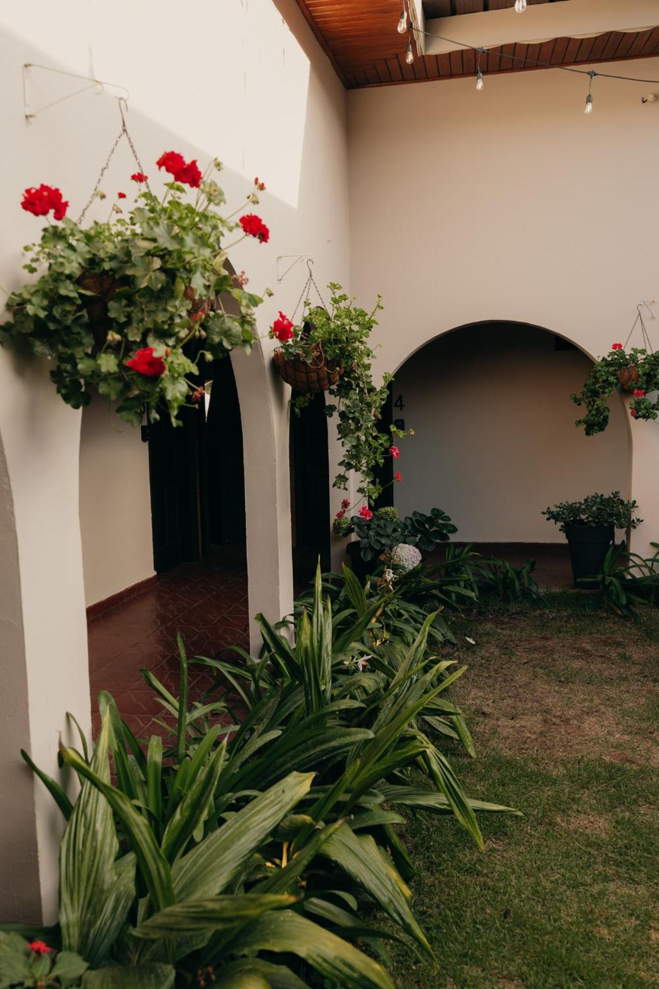 Hotel Boutique Rebequet Boquete Exteriér fotografie